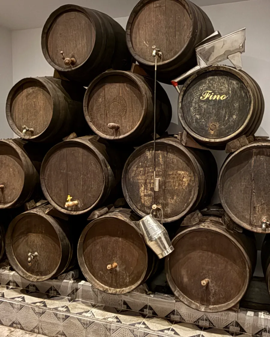 Tonneaux de fino de Montilla-Moriles à la Taberna Góngora